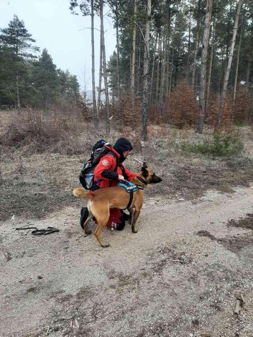 Više od stotinu ljudi uključeno u potragu za pastirom Mujom Cakićem