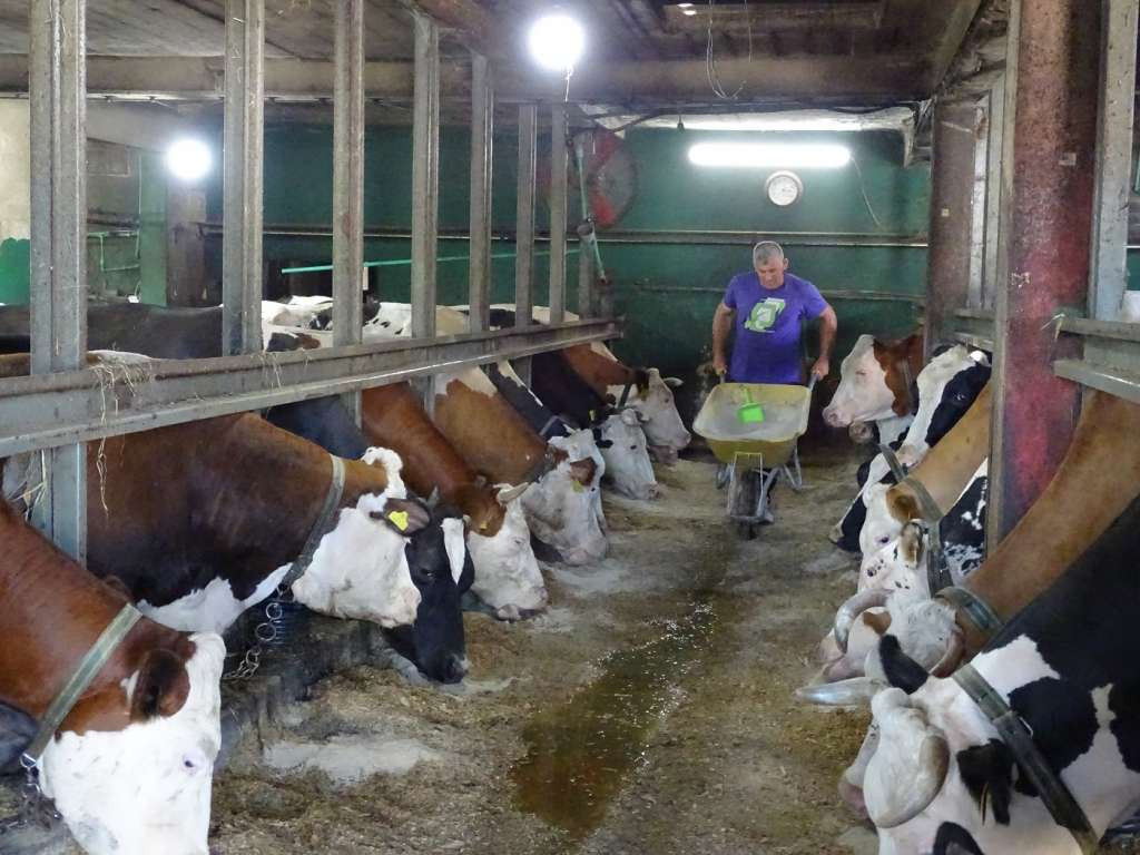 Farmeri iz Unsko-sanskog kantona traže dodatnu podršku zbog inflacije