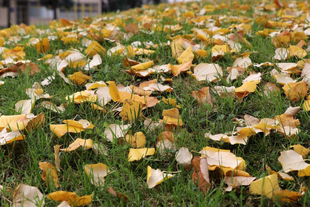Sutra u većem dijelu Bosne prijepodne magla, tokom dana sunčano