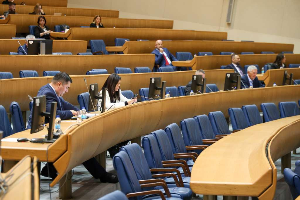 Poslanici SNSD-a traže da se Predstavnički dom PSBiH izjasni o njihovim amandmanima