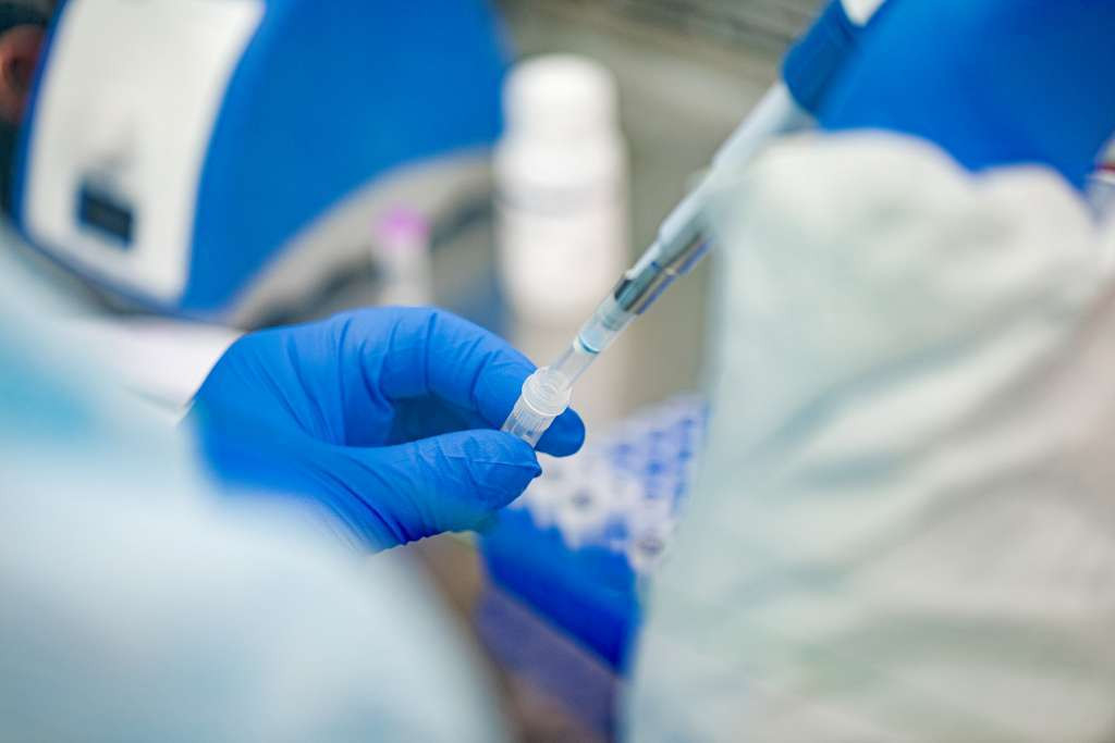 U Hrvatskoj prijavljeno deset infekcija virusom Zapadnog Nila, šest osoba hospitalizirano