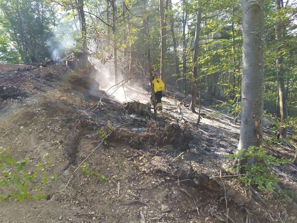 Požar na Bjelašnici eskalirao i silazi u šumu, potrebna intervencija helikoptera