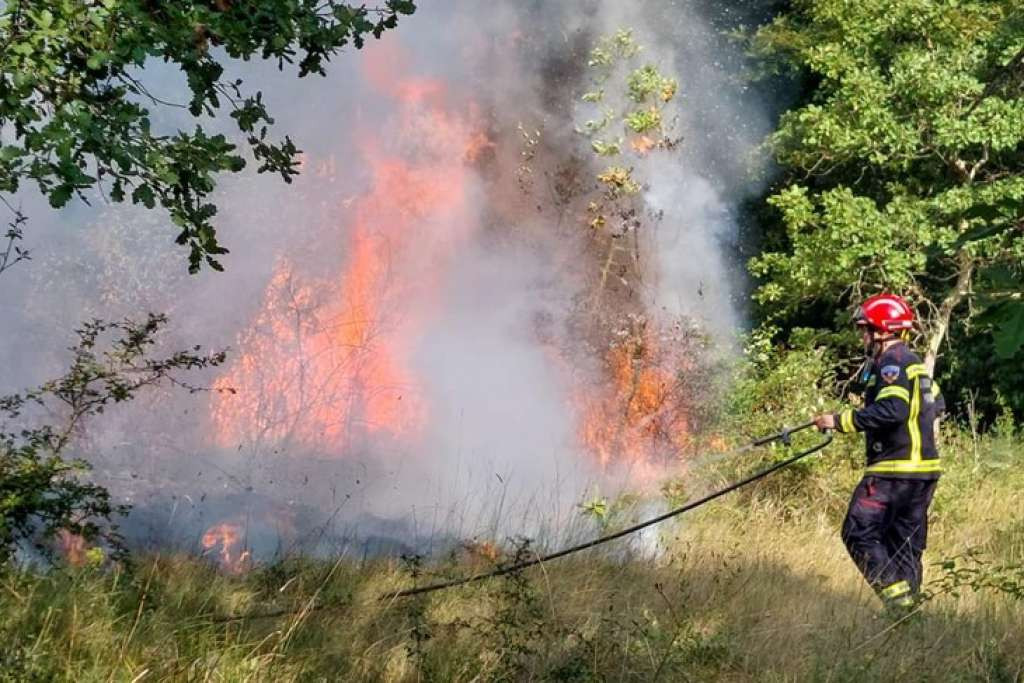 KUIP - Inspektorat poljoprivredne, vodne i šumarsko-lovne inspekcije upozorava na opasnost od požara