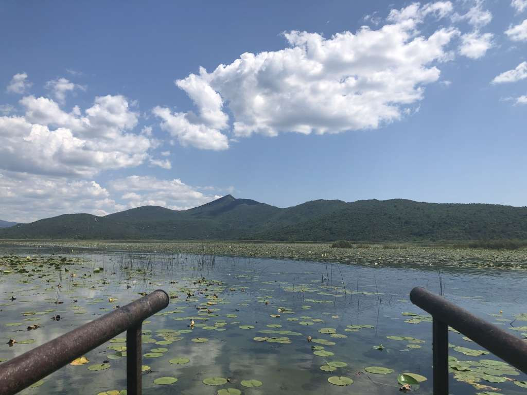 Rozić: Močvare zahtijevaju ulaganje i revitalizaciju, imaju veliku mogućnost za razvoj turizma