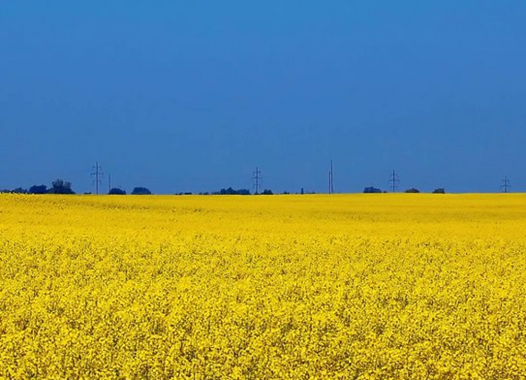 EU uklonila posljednju prepreku za ukidanje carina Ukrajini