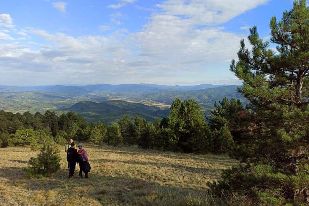 Matinski vis obiluje brojnim endemskim vrstama s Crvene liste