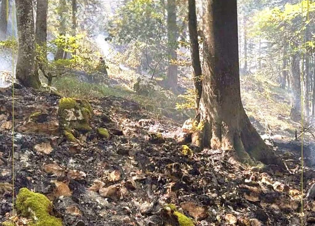 Požar na Plješevici: Bihać tražio helikopter OS BiH, ekipe ostaju na terenu