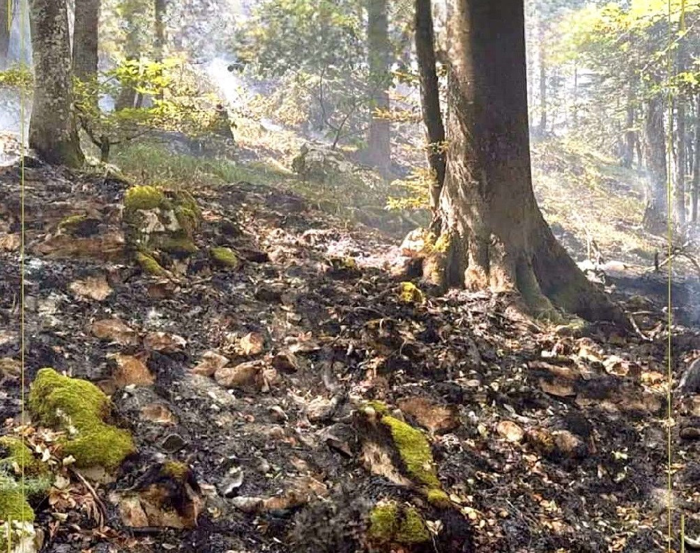 Stanje na požarištu na Plješevici stabilno, dežurne ekipe ostaju na terenu