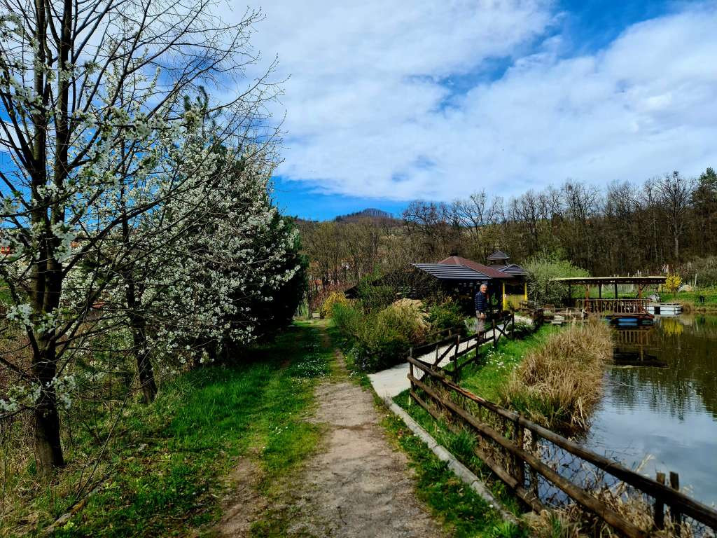 Hrustanovići svoju plantažu voća 'Baš-Bašča' u Brezi pretvorili u oazu mira i zdrave hrane