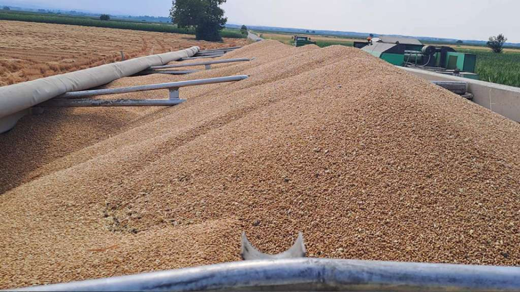 Medžlis Islamske zajednice (MIZ) Janja rekorder u proizvodnji kukuruza