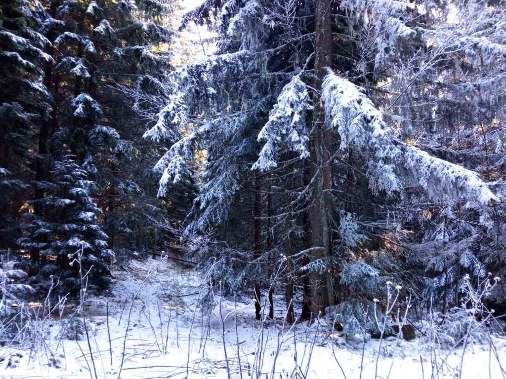 Pretežno vedro vrijeme u BiH, u Mostaru 13 stepeni