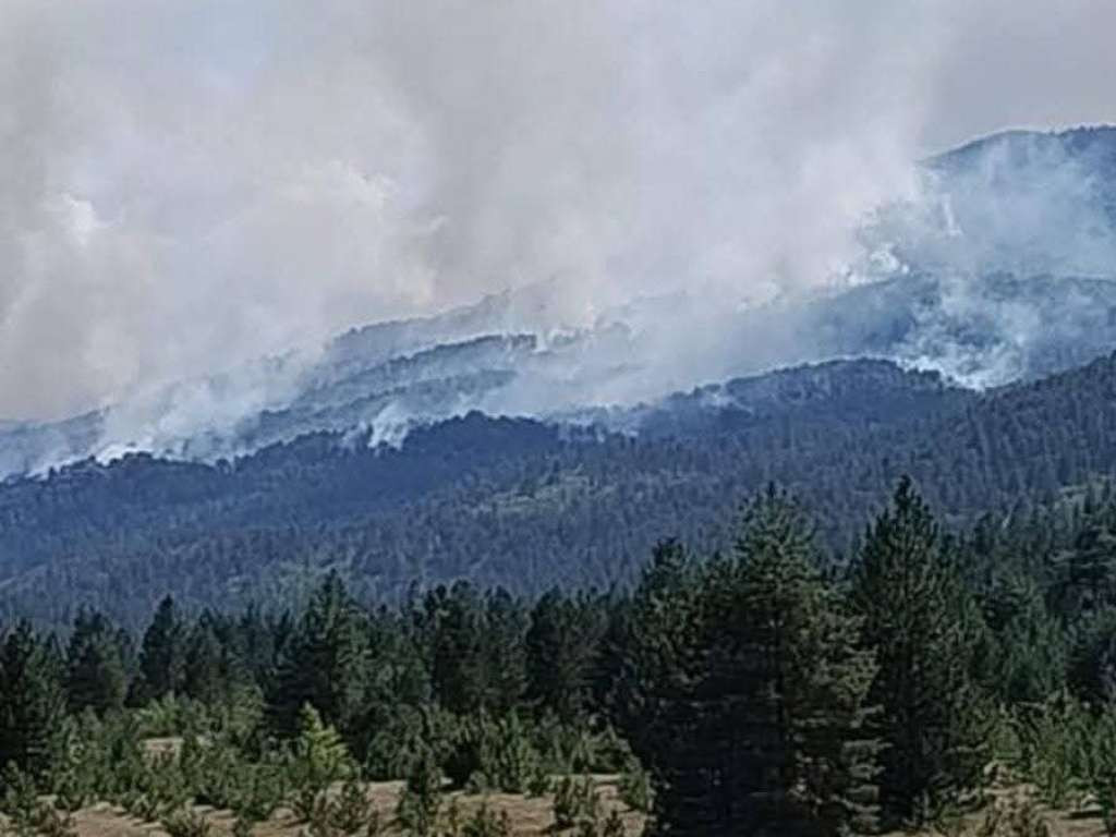 Požar stigao do kuća u Drvaru, u gašenje uključen helikopter OS BiH