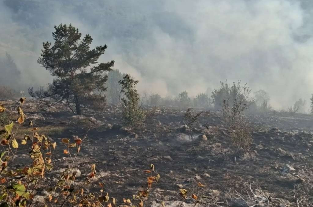 Požar na Trebeviću ponovo se aktivirao tokom noći