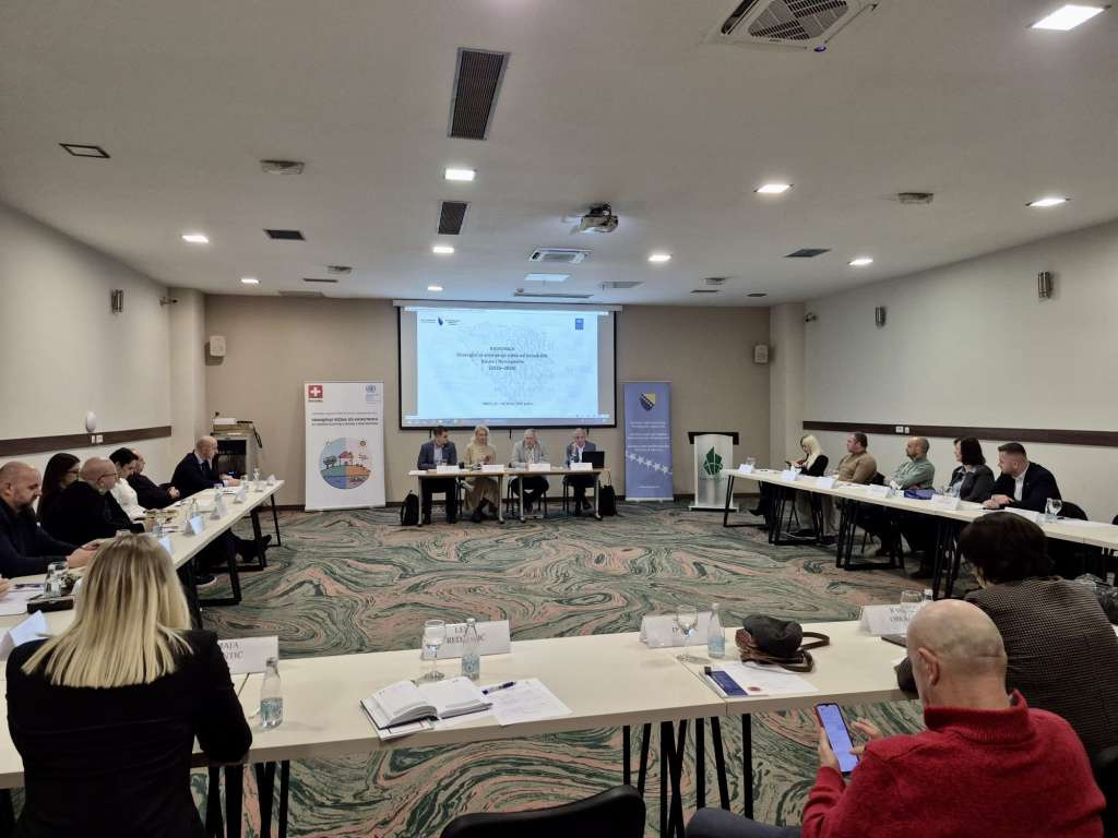 Počela izrada strategije za smanjenje rizika od katastrofa u Bosni i Hercegovini