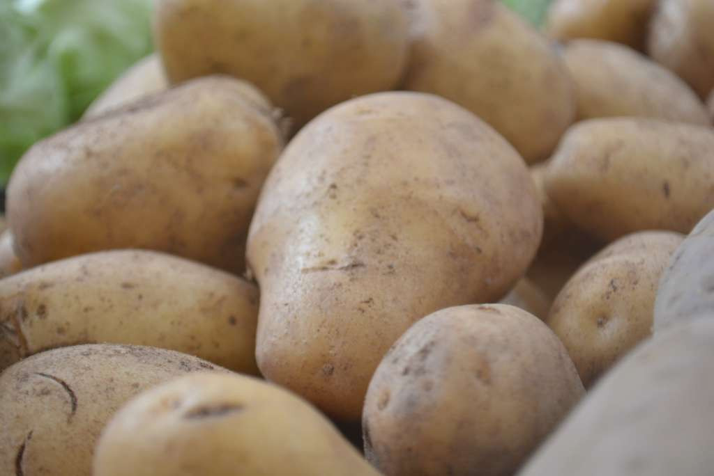 Zabranjen uvoz krompira za industrijsku preradu zbog prisustva nedozvoljene količine pesticida