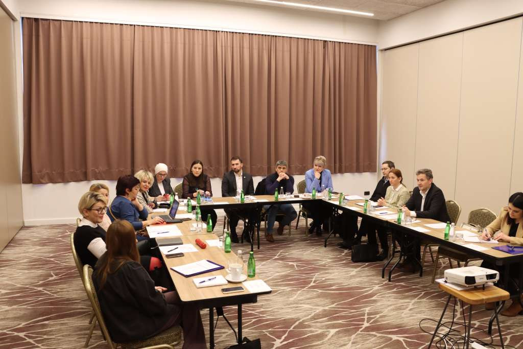 Vijeće za djecu FBiH - Nedostaju sistemska rješenja u oblasti zdravstvene i socijalne zaštite djece