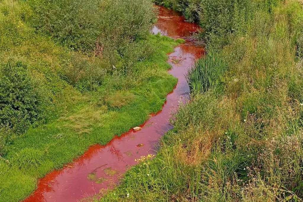 Crveni mulj iz fabrike 'Nova Alumina' zagadio rijeku Sapnu i uzrokovao uginuće ribe