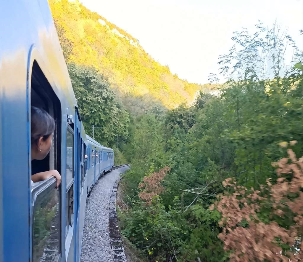 Nisvet Čajlaković tokom čišćenja pruge zadobio smrtonosnu povredu noge