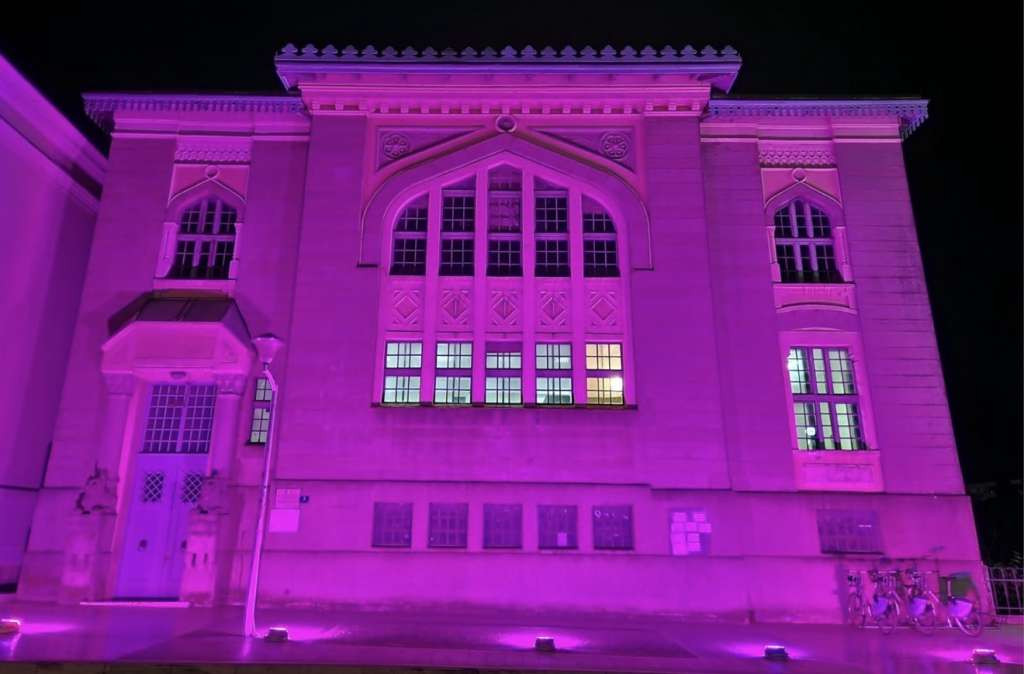 Ružičasti oktobar: Zajedno u borbi protiv raka dojke