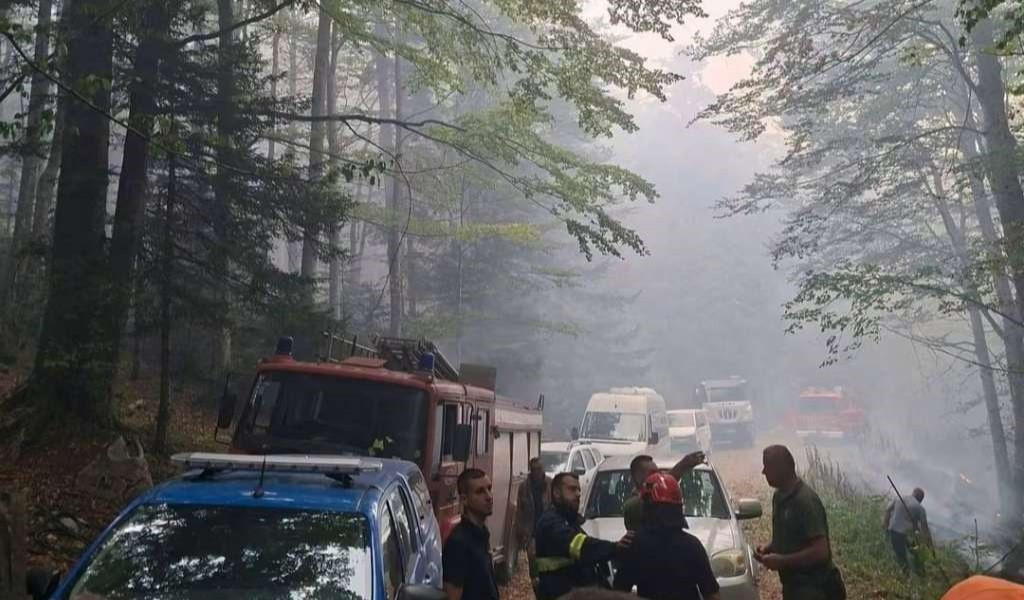 Vodovod Bihać pruža podršku u gašenju požara na Plješevici
