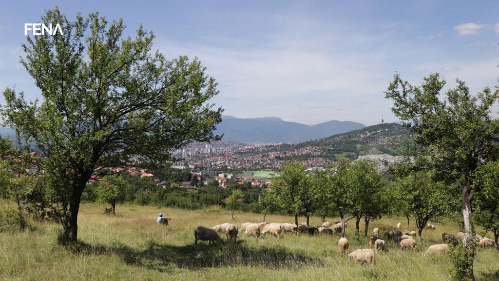 Crveni križ Kantona Sarajevo organizira akciju prikupljanja kurbanskog mesa