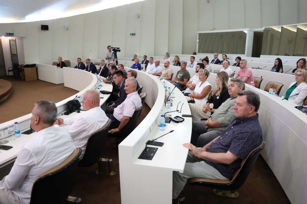 'Promemorija 30. godišnjice genocida u Srebrenici', značaj historijskog i institucionalnog pamćenja