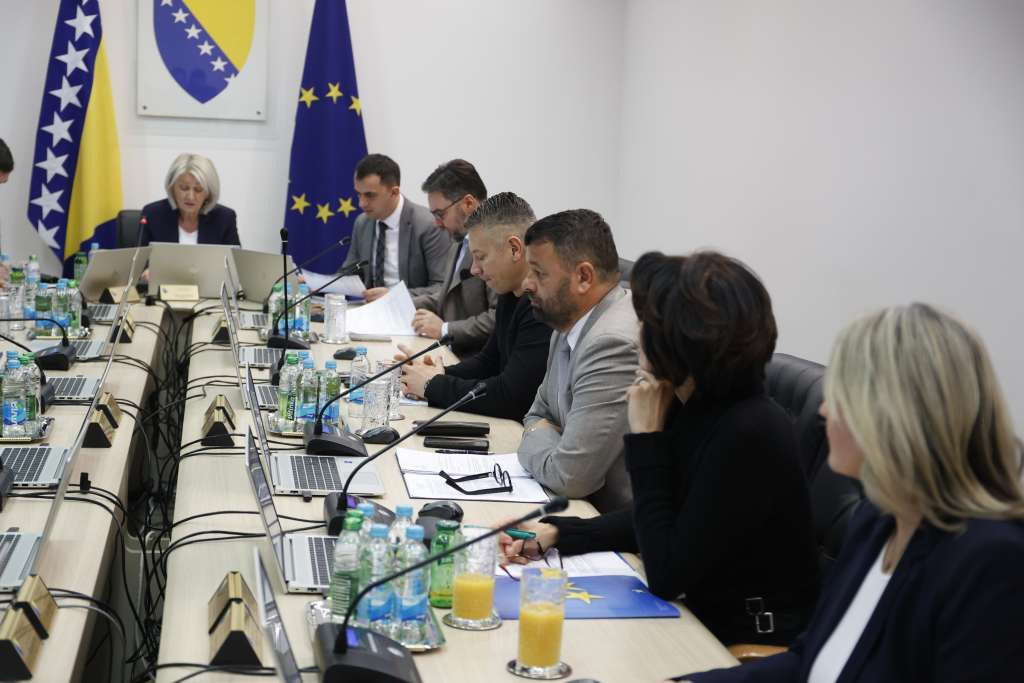 Vijeće ministara BiH - Radna skupina, upravljanje migracijama, ostale odluke