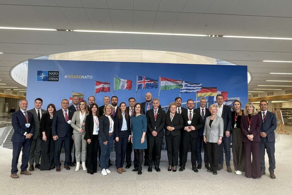 Delegacija PSBiH učestvovala na predstavljanju Orijentacionog programa NATO-a u Briselu