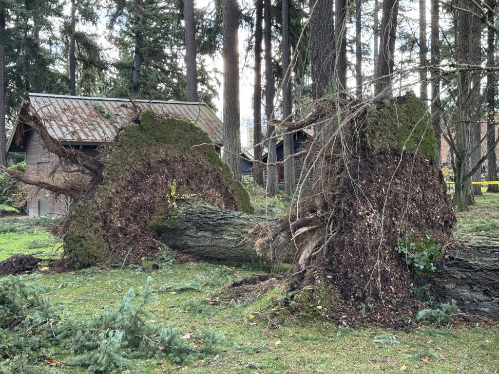 'Ciklon bomba' pogodio zapadnu obalu Sjedinjenih Država