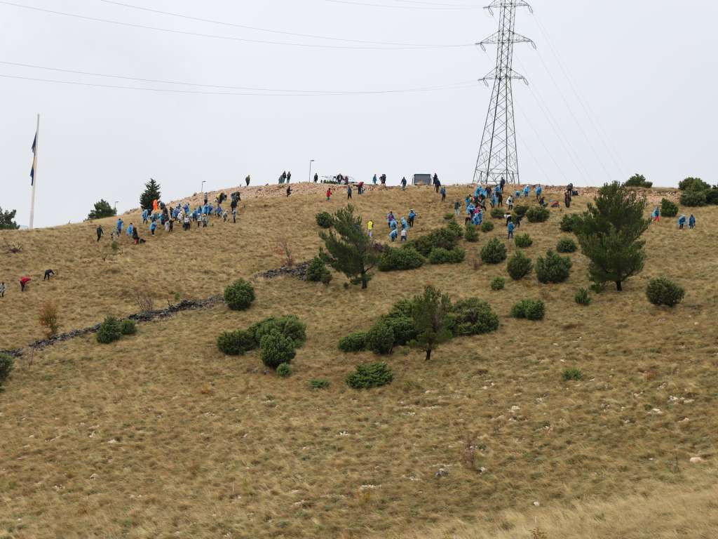 Gosto: Projektom 'Boranka' želimo podići svijest o pošumljavanju i zaštiti okoliša u cijeloj BiH