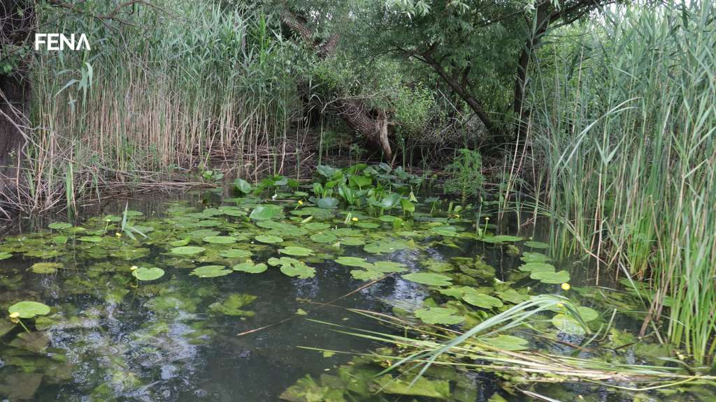 U Federaciji BiH relativno dobro kvantitativno stanje i kvalitet podzemnih voda
