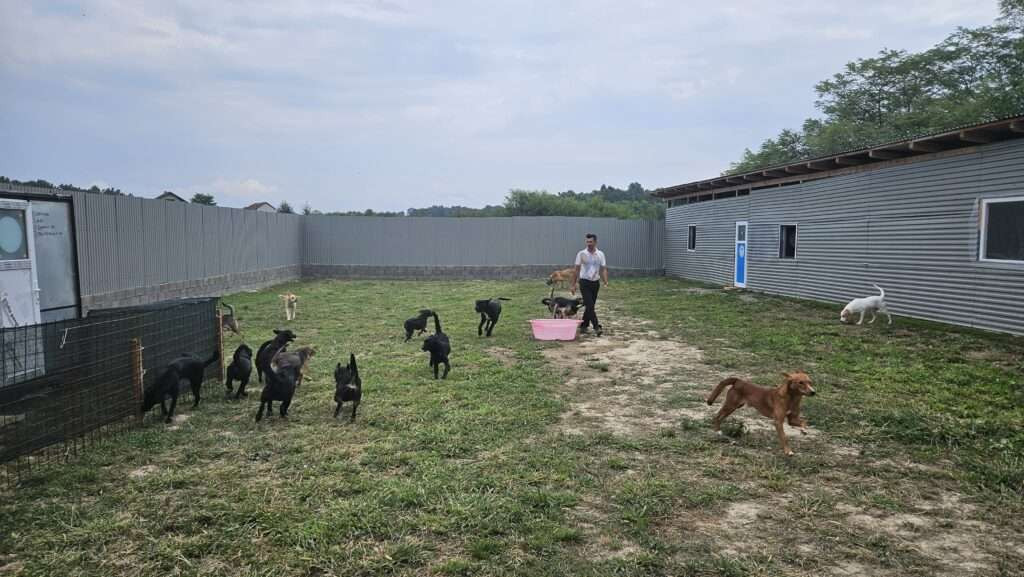 Brčko: Sklonište za pse u Uloviću bez odgovarajuće registracije