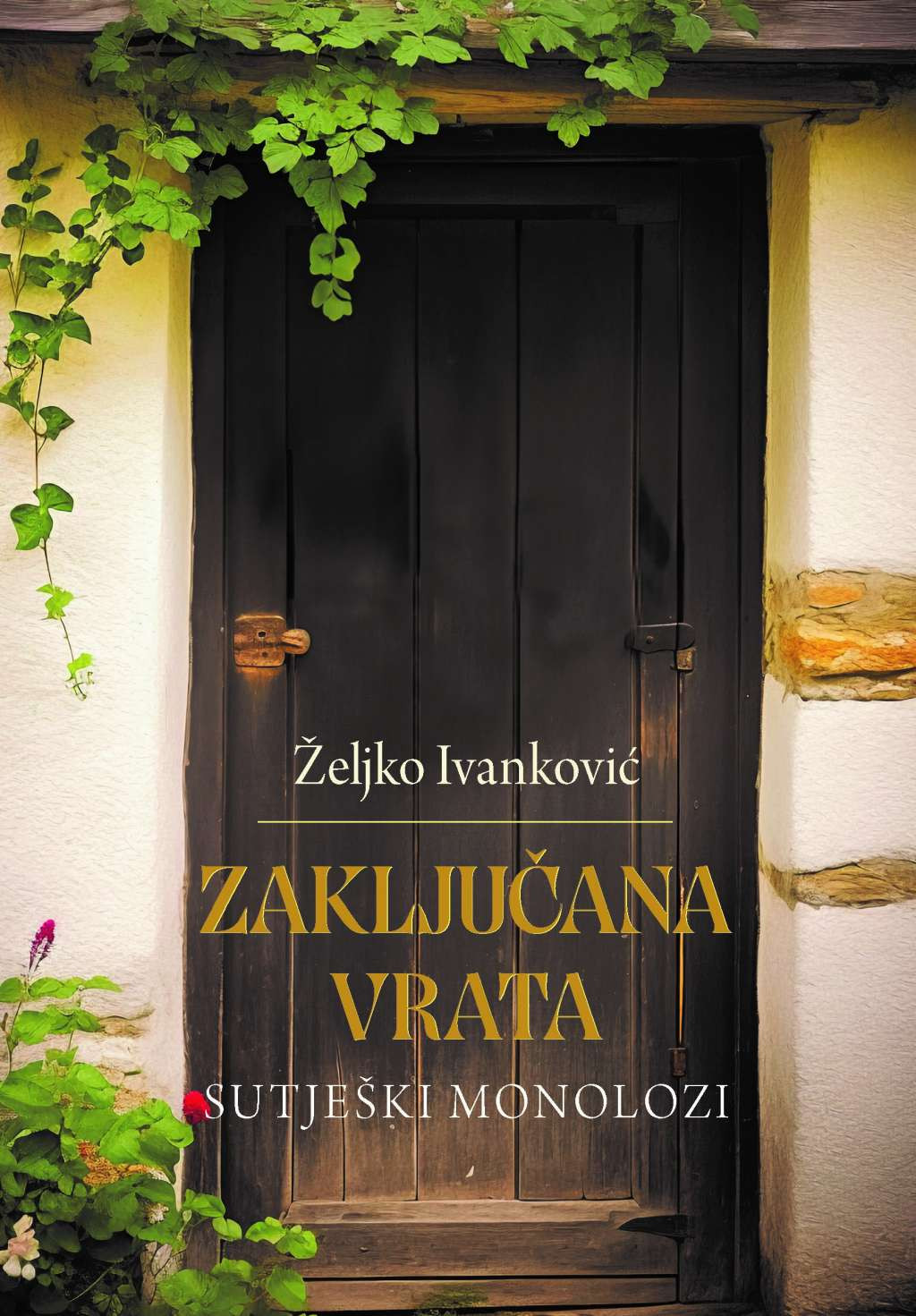 Ivanković : 'Zaključana vrata' su roman koji govori o nestanku, demografskom umiranju Bosne