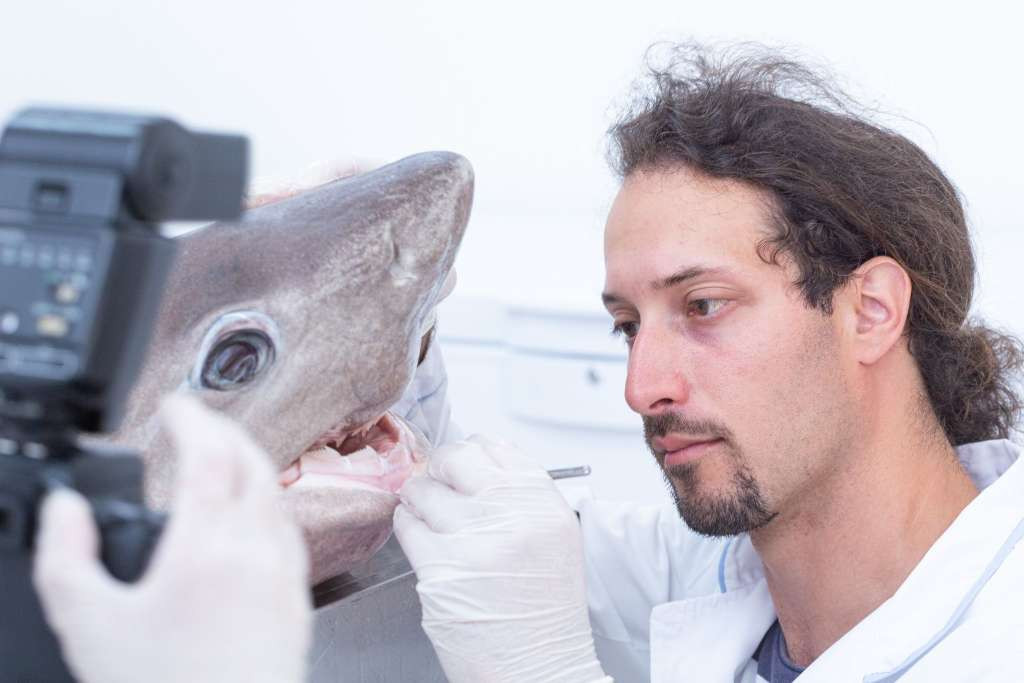 Gajić: Neka Dan okeana bude podsjetnik da je naša uloga kao čuvara mora ključna