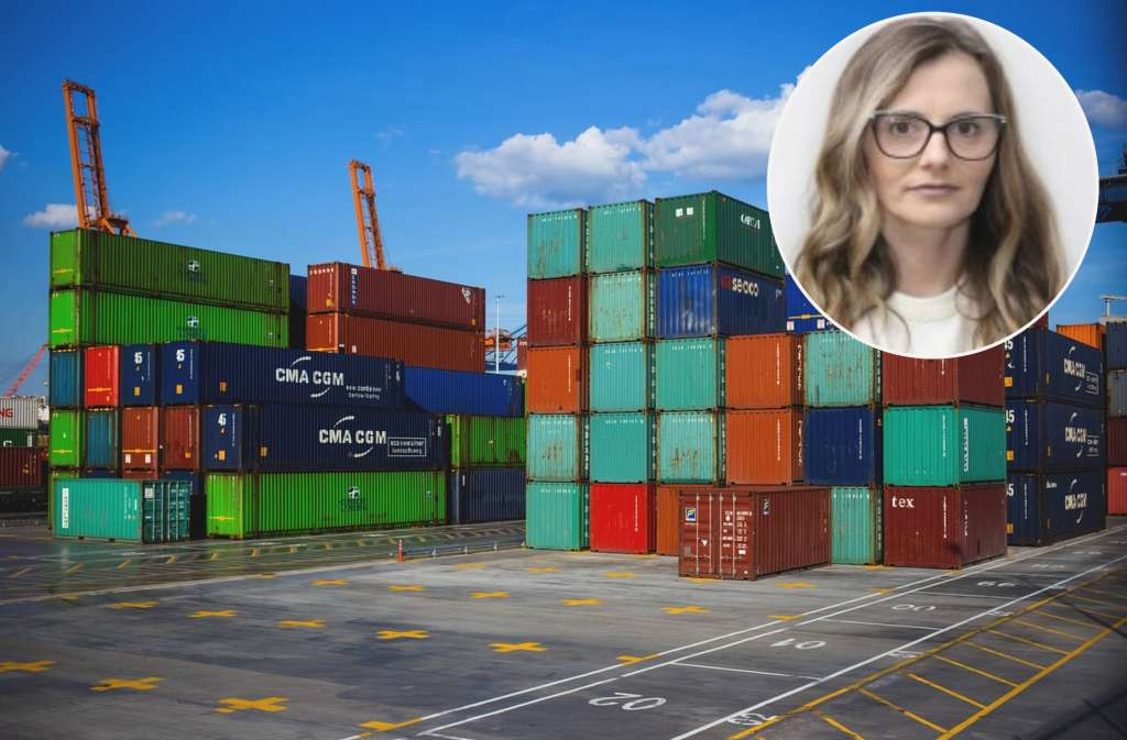 Salkičević-Dizdarević: Priče o tome kako se pokušava zaštiti izvoz BiH u kontekstu SAD padaju u vodu