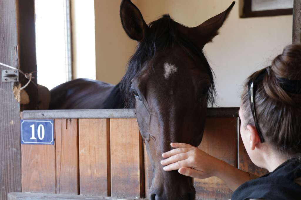 Nakon 30 godina ponovo oživljava tradicija konjičkog sporta u Bratuncu