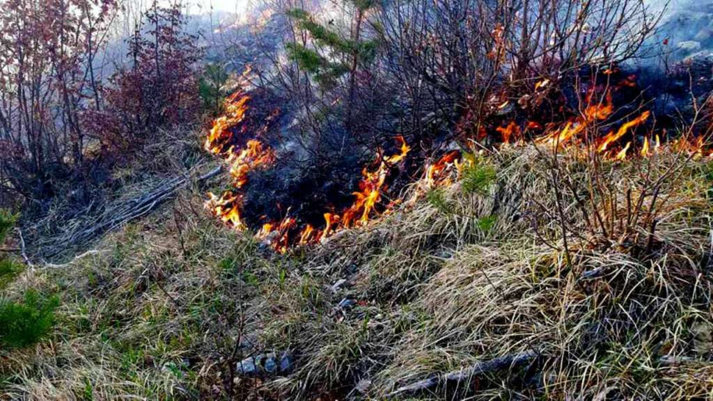 Stanje na požarištima stabilno, nije potrebna pomoć helikoptera