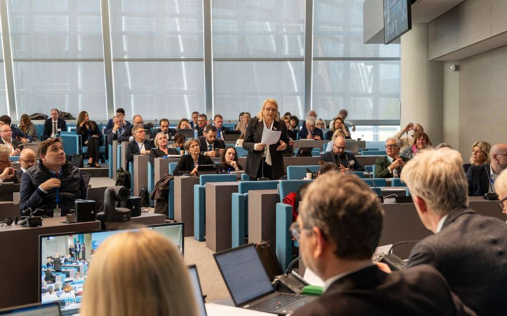 Predsjednica Bradara izabrana za potpredsjednicu Doma regija Vijeća Europe