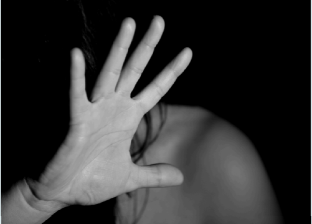 Tešanj - Prevencija nasilja u porodici i nad ženama na listi prioriteta Mreže za rodnu ravnopravnost