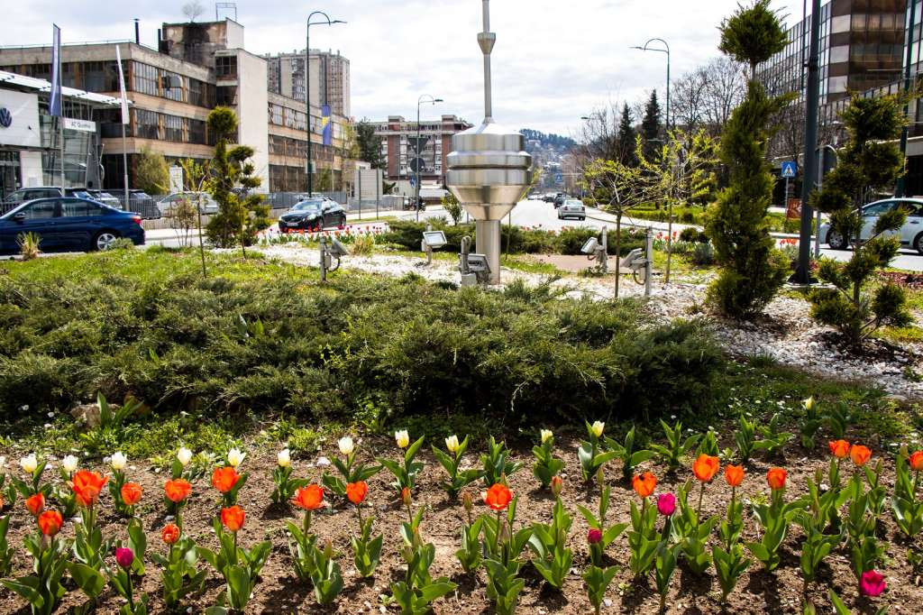 Proljeće u Novom Sarajevu: 6.000 tulipana i uređenje zelenih površina