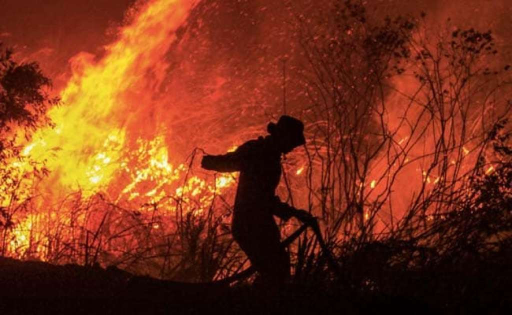 Šumski požar u Francuskoj u blizini španske granice suzbijen, ali je još opasan