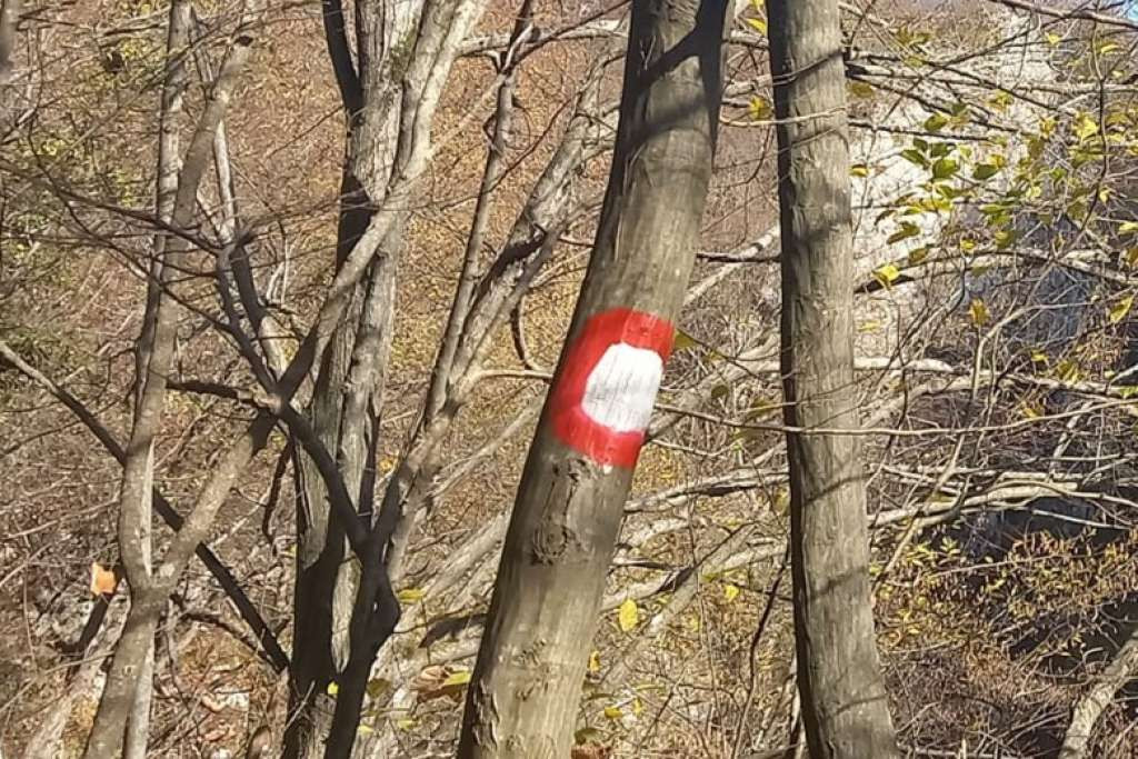 Šabić: Glavne staze i putevi u bh. planinama propisno označeni, ali to je kontinuiran proces