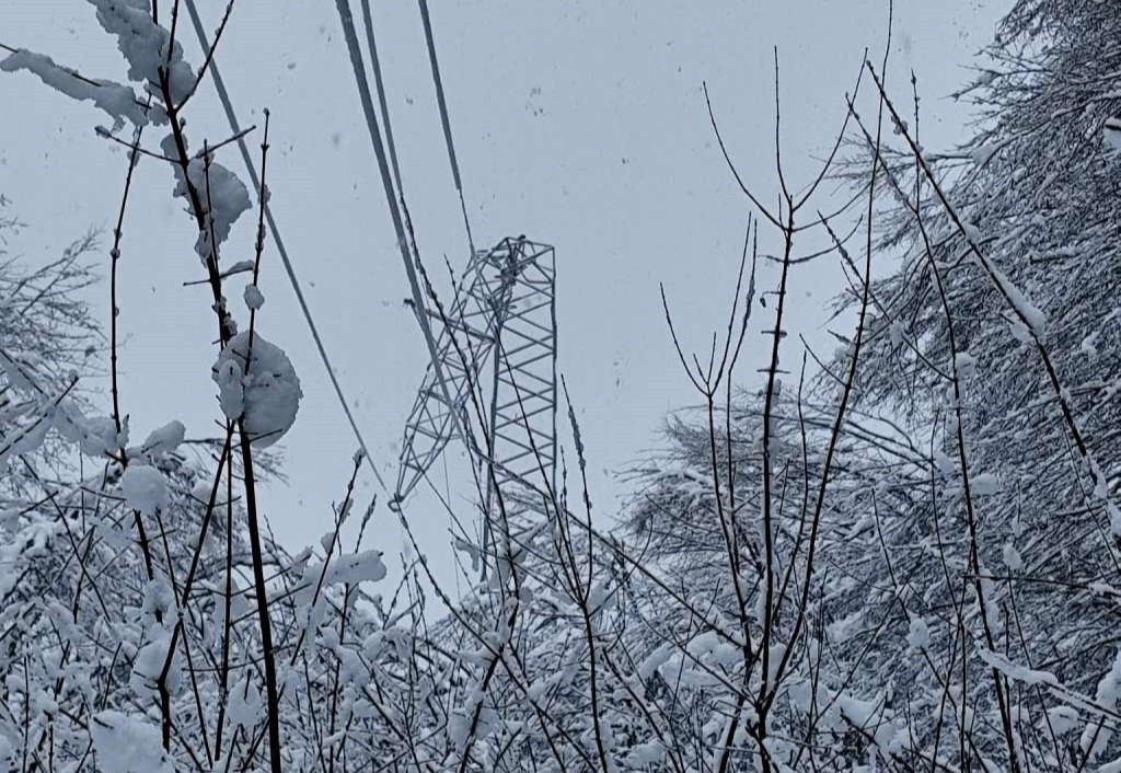 Snijeg izazvao ekstremna opterećenja i kvarove na elektroenergetskoj infrastrukturi