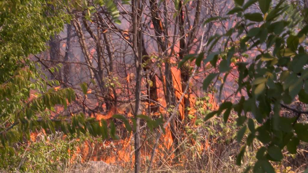 Požar na Vrtaljici iznad Konjica i dalje aktivan, svo raspoložive ljudstvo na terenu