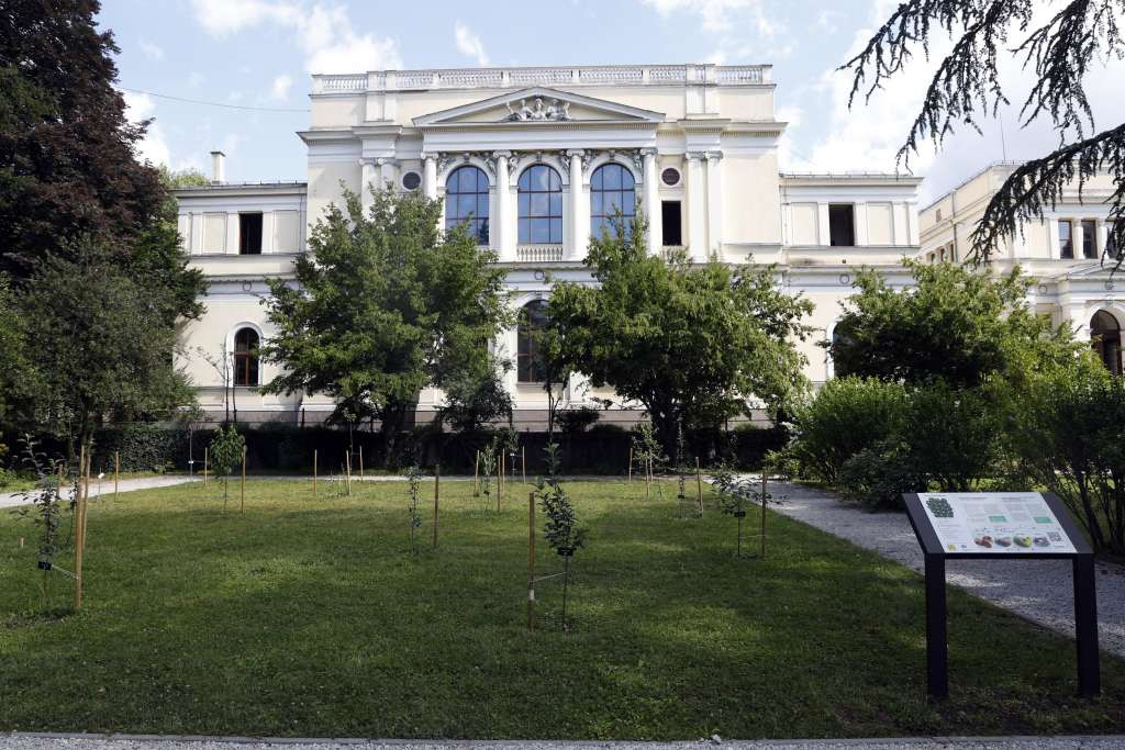 Bordanić Kobilica: Botanički vrt Zemaljskog muzeja je živi muzej koji čuva blago bh. prirode