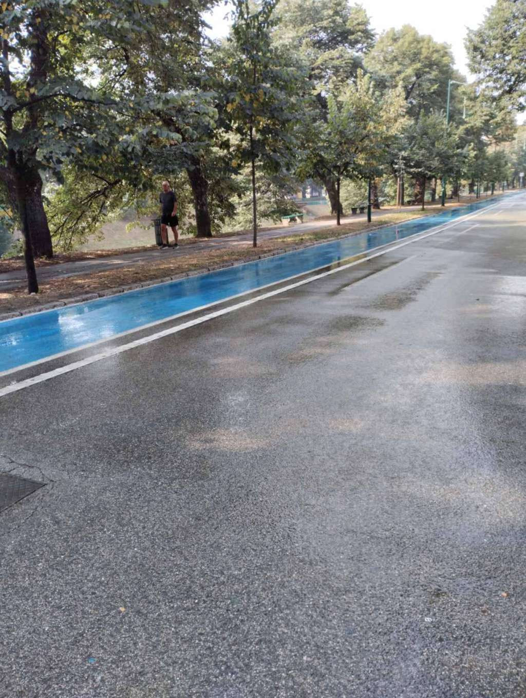 Uposlenici KJKP 'Rad' nakon sinoćnjeg koncerta očistili prostor Vilsonovog šetališta