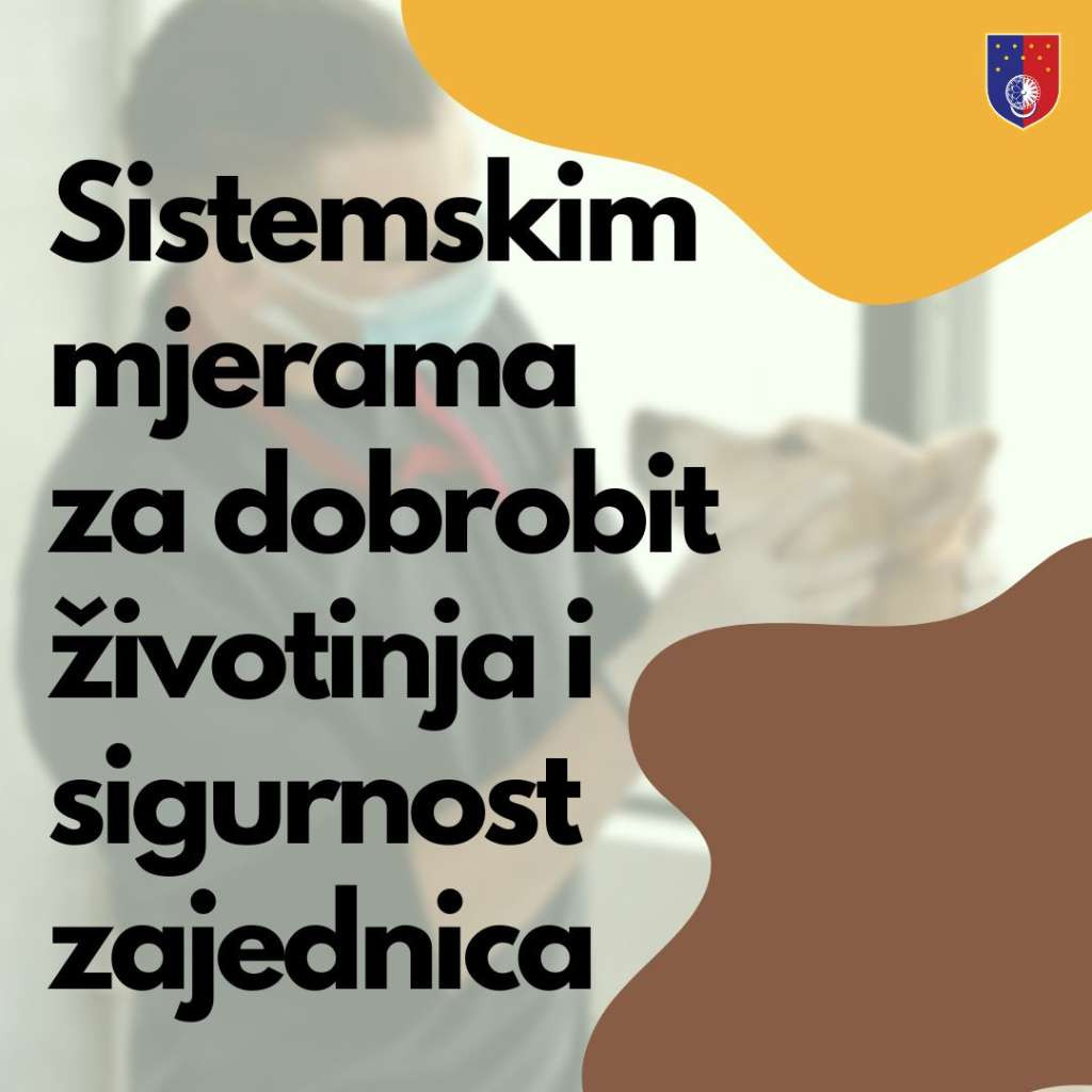 KS: Sterilisano i udomljeno više od 10.000 napuštenih životinja