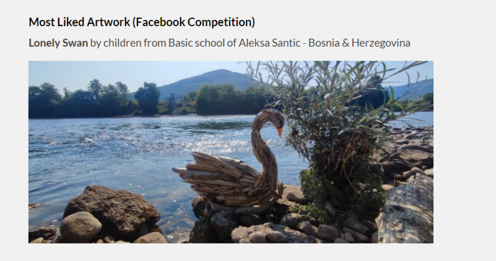 Učenici OŠ "Aleksa Šantić" pobjednici na međunarodnom ekološkom takmičenju Danube Art Master
