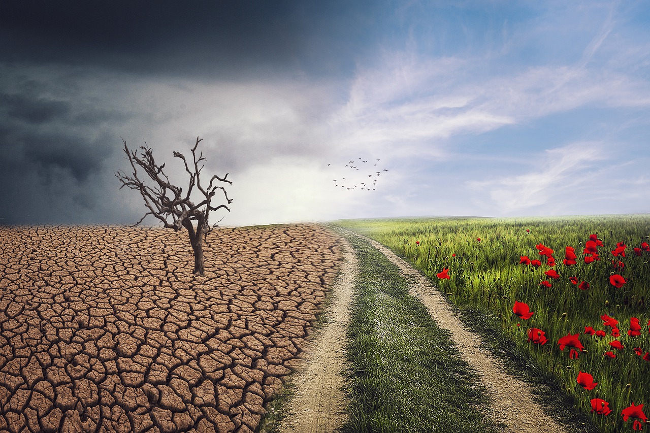 Više od 200 miliona ljudi moglo bi migrirati do 2050. zbog klimatskih promjena