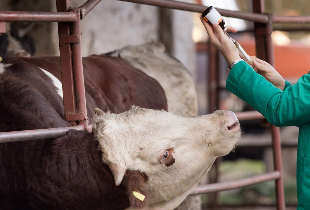 U Orašju otvorena prva tvrtka za proizvodnju veterinarskih lijekova u BiH